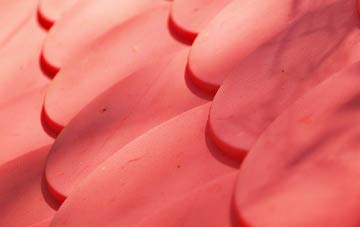 Stoneygate plastic roof costs